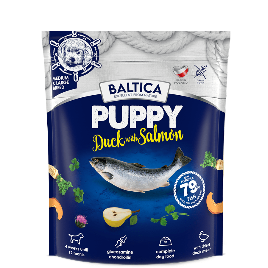 Puppy Duck with Salmon M/L - Baltica