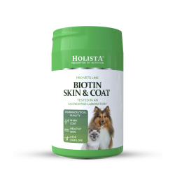 Biotin Skin & Coat 200g - Holista